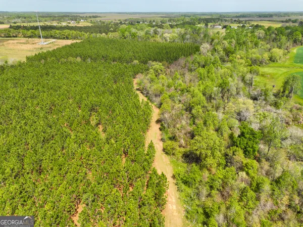 a view of a green field with lots of trees