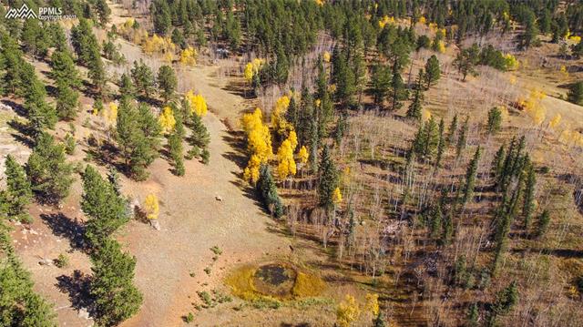 267 Simba Point Divide, CO 80814 - Photo 6 of 9
