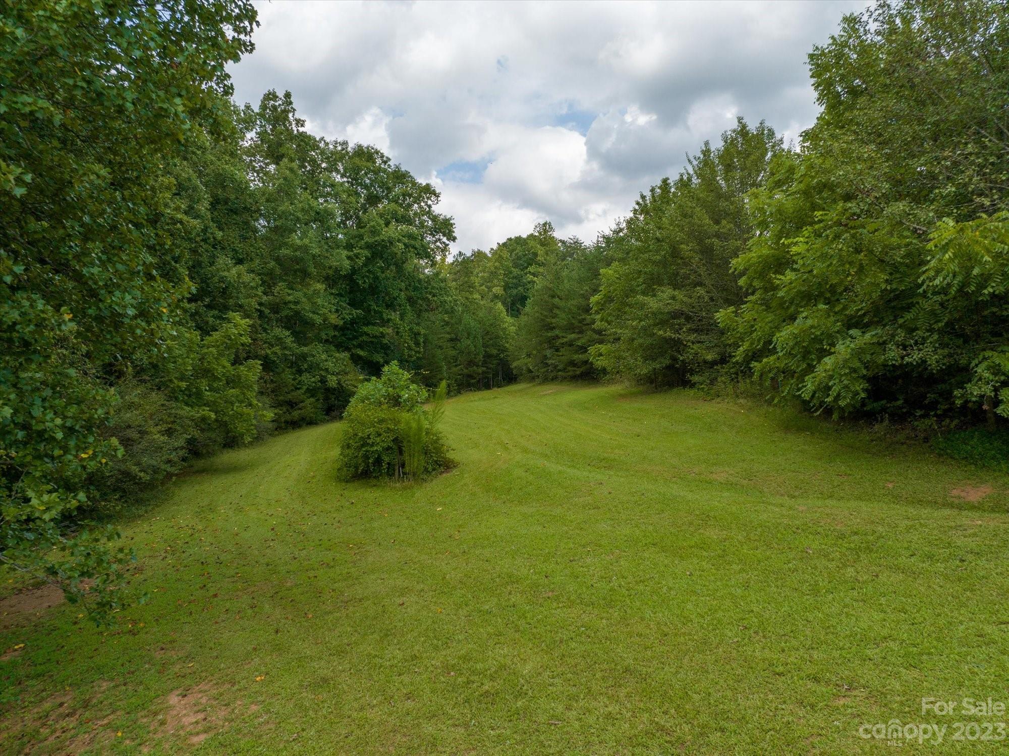 2540 Maple Creek Road Rutherfordton, NC 28139 - Photo 32 of 48 a view of a garden with a bench
