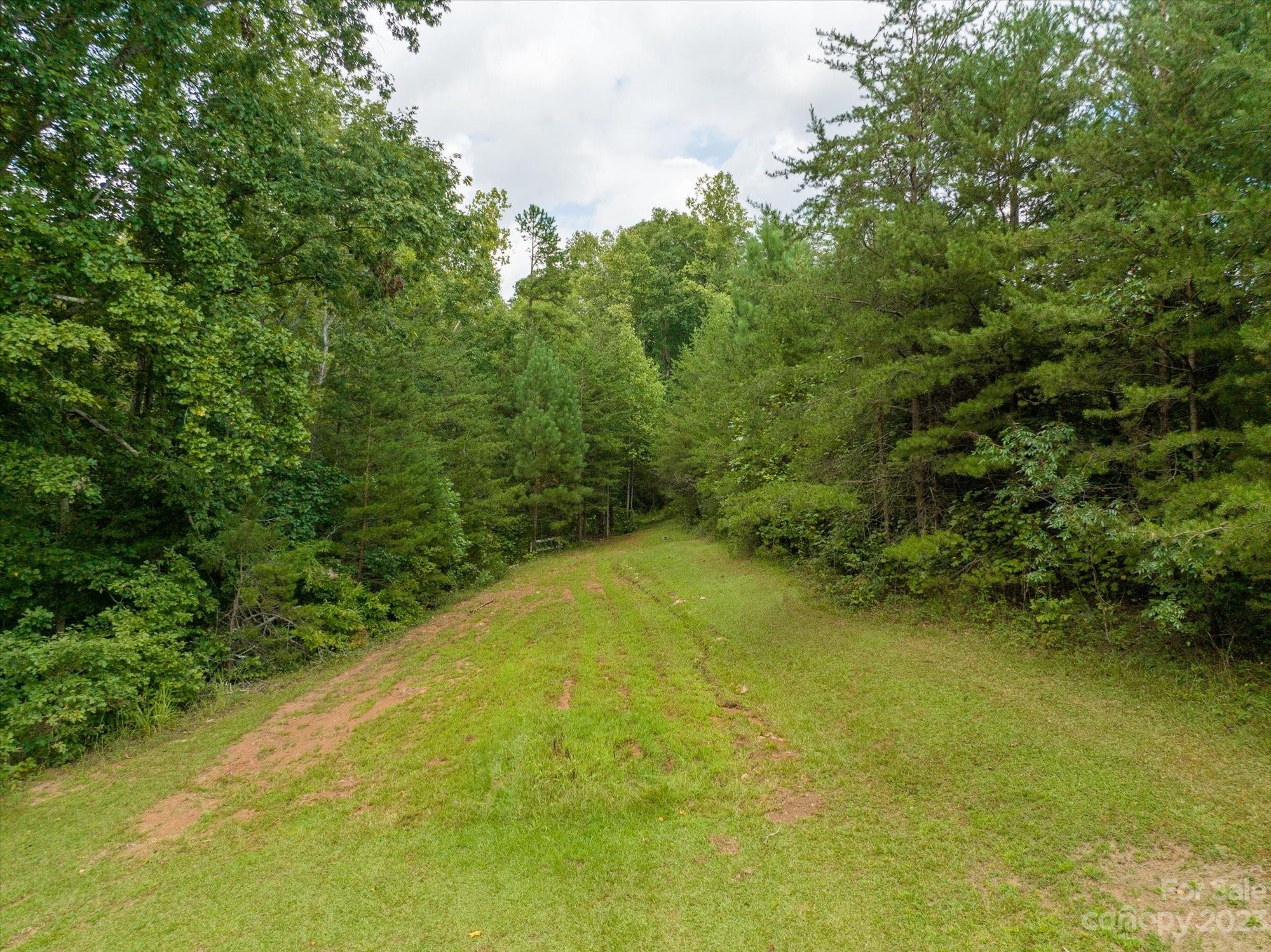 2540 Maple Creek Road Rutherfordton, NC 28139 - Photo 33 of 48 a view of a yard with a lake view