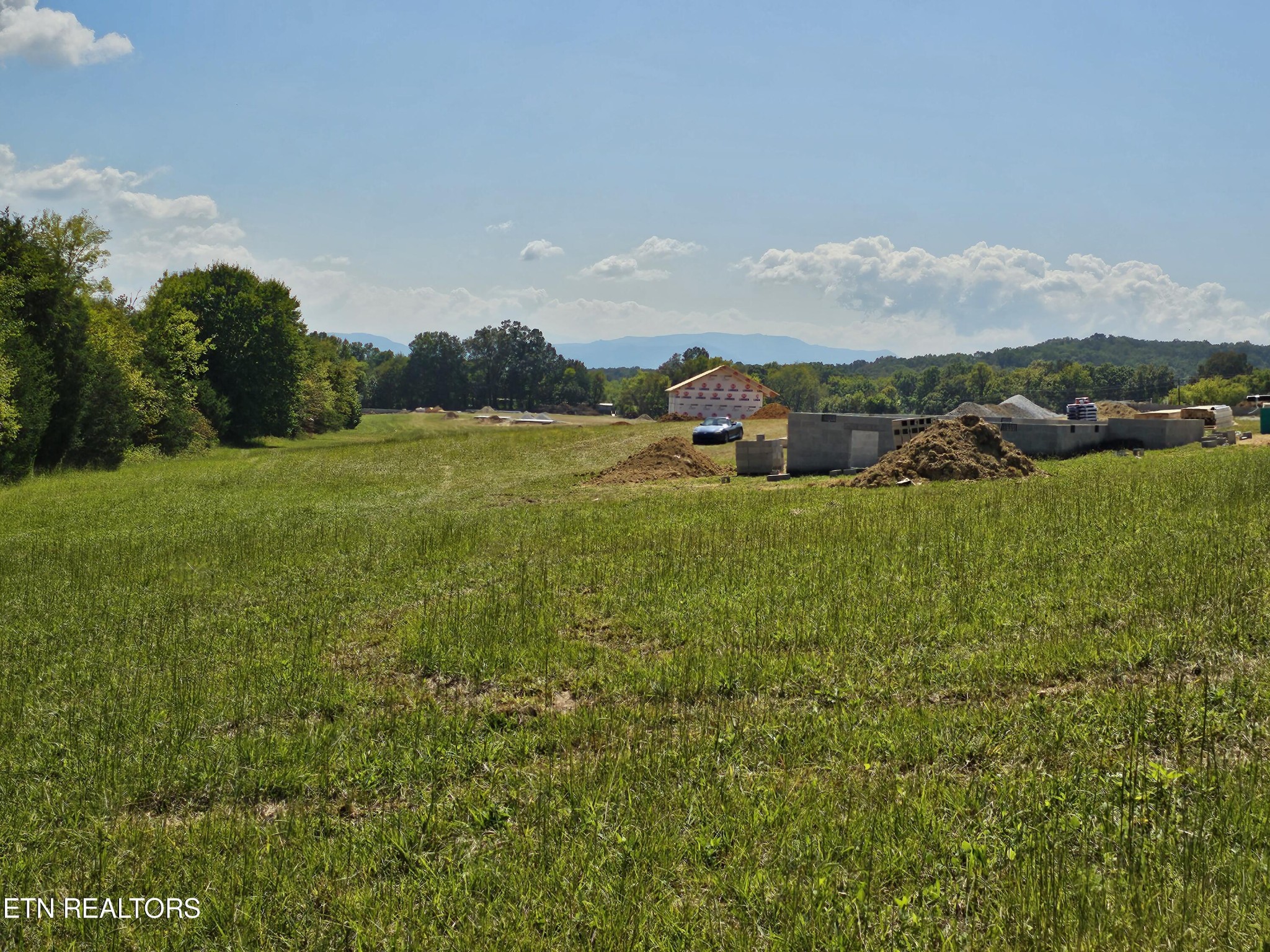 306 Harrison Ferry Road White Pine, TN 37890 - Photo 7 of 7 Gallery Image 7