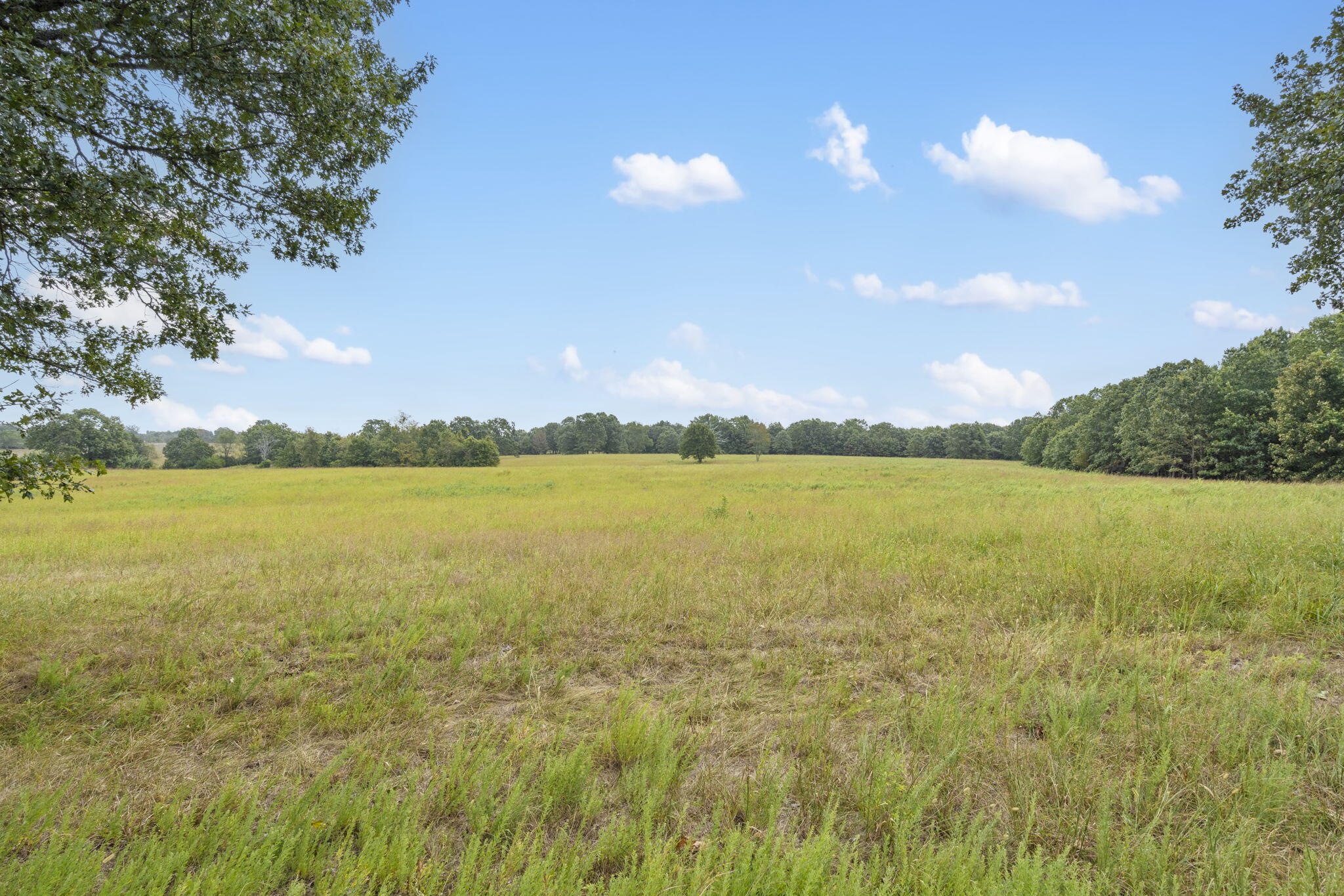 808 Coon Ridge Road Galena, MO 65656 - Photo 15 of 23 808 Coon Ridge RD