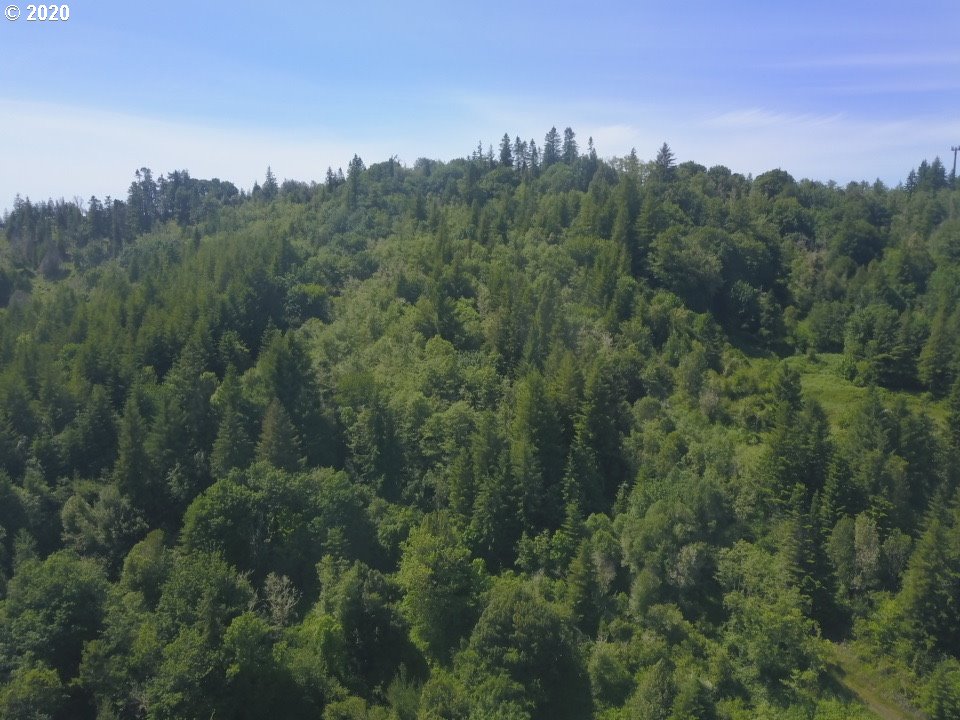 0 Lampa Lane Myrtle Point, OR 97458 - Photo 11 of 11 Gallery Image 11