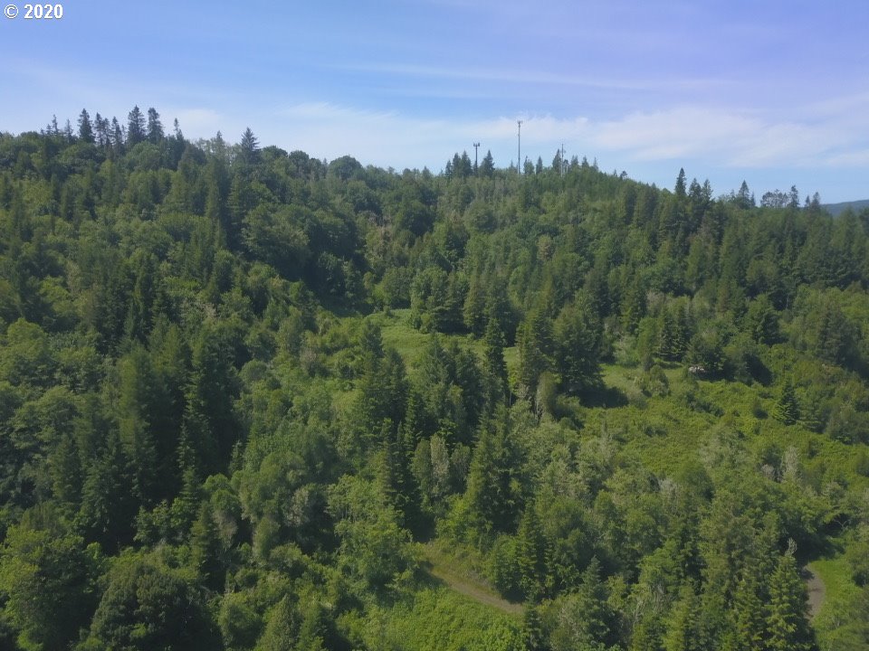 0 Lampa Lane Myrtle Point, OR 97458 - Photo 10 of 11 Gallery Image 10