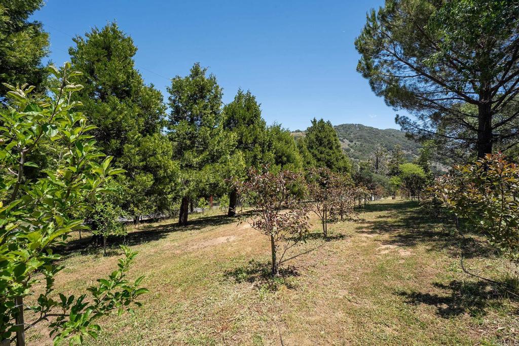 1315 Farmer Road Julian, CA 92036 - Photo 69 of 74