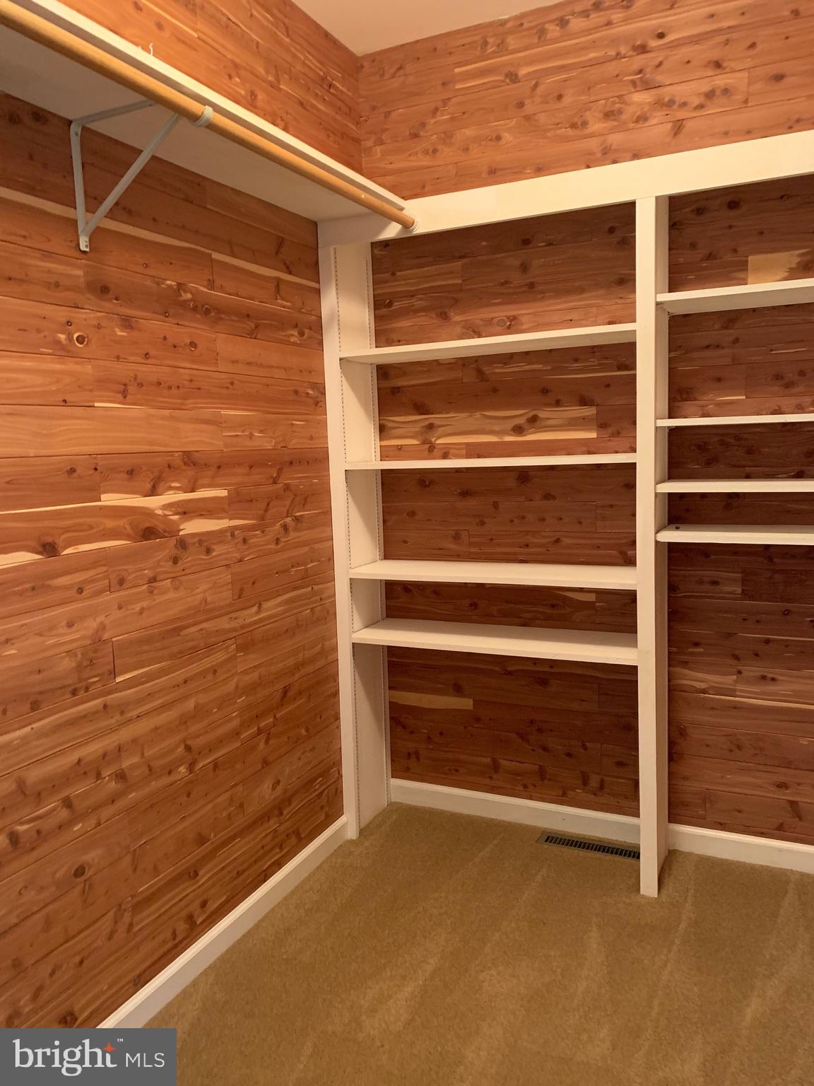 8474 Leeds Manor Road Warrenton, VA 20186 - Photo 15 of 38 cedar walk in closet in primary bedroom suite