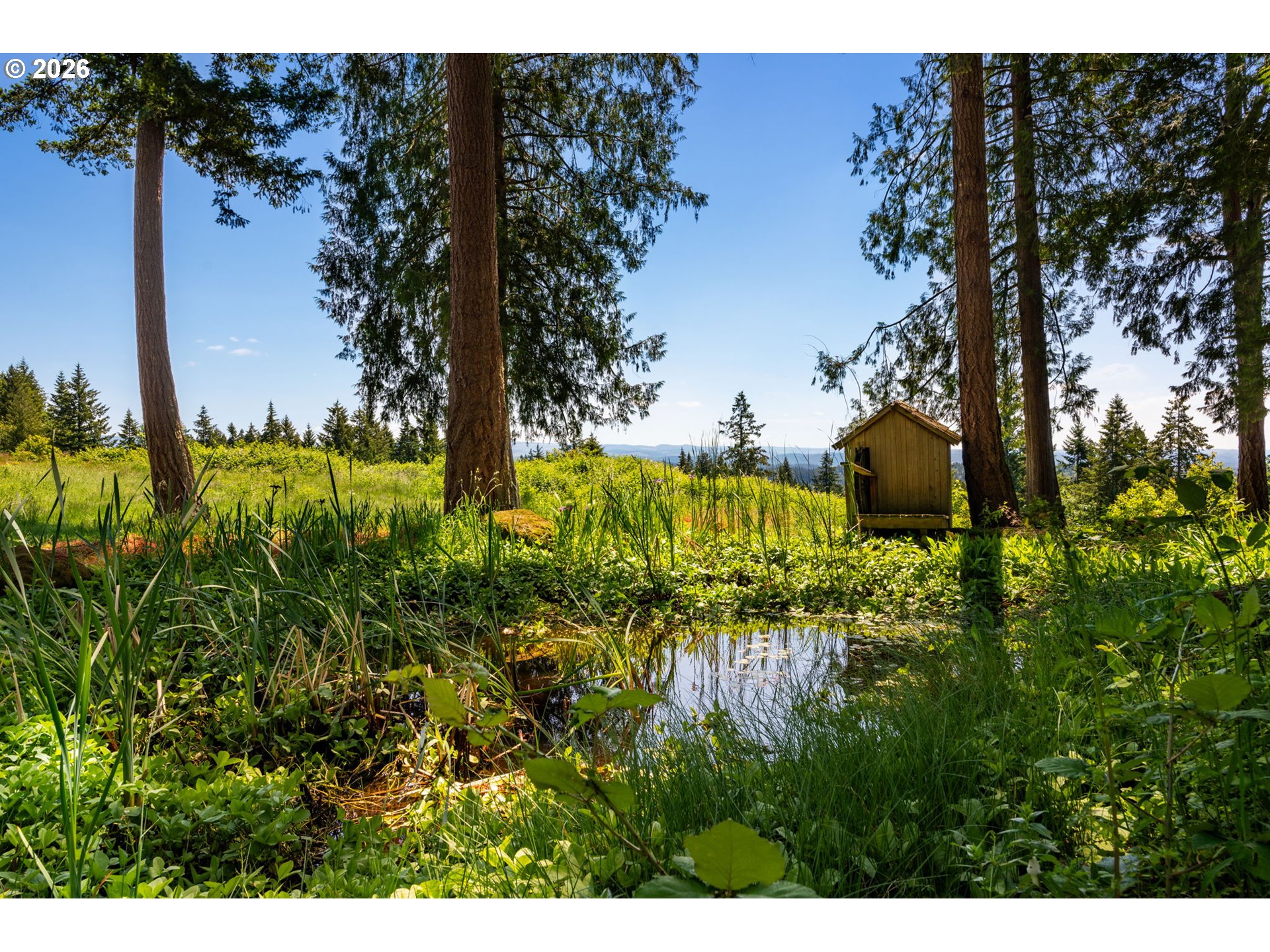 15280 South Howards Mill Road Mulino, OR 97042 - Photo 28 of 48