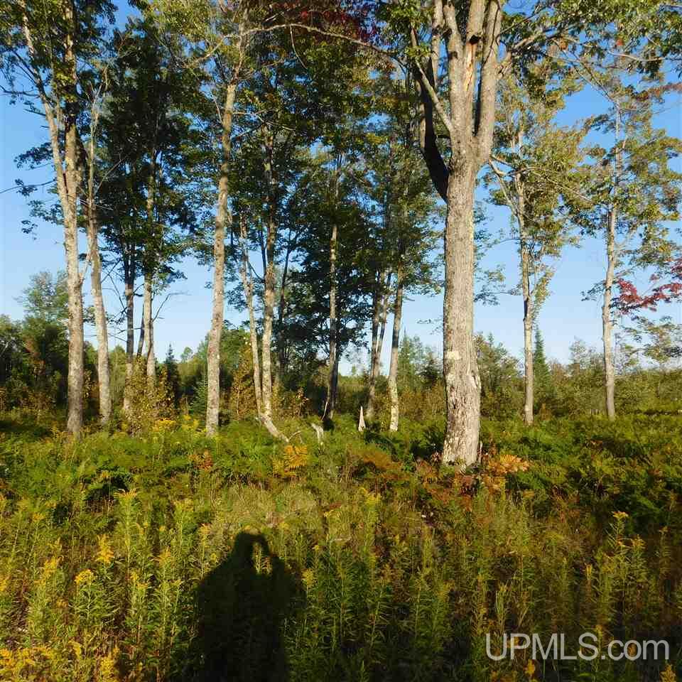 Tbd Off Murray Road Perronville, MI 49873 - Photo 22 of 27