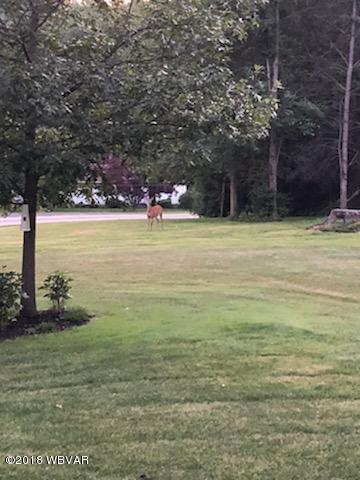 738 Brick Church Road Montgomery, PA 17752 - Photo 21 of 21 22 summer view 2