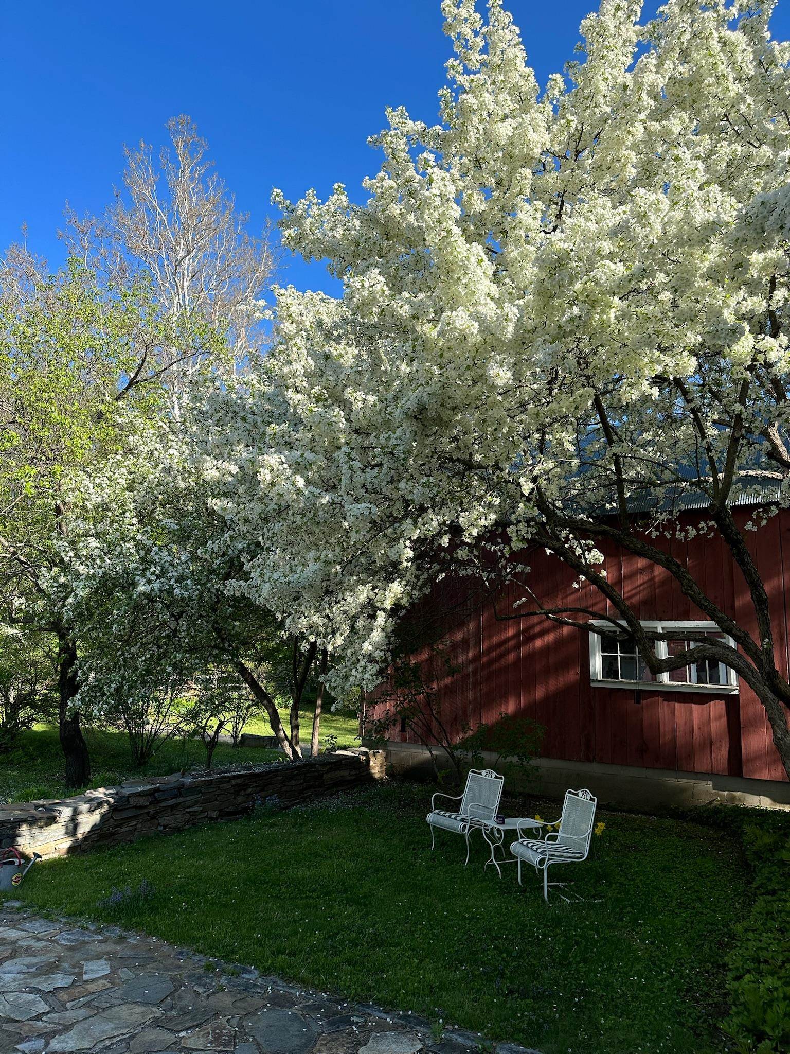 39 West Street Newfane, VT 05345 - Photo 39 of 45