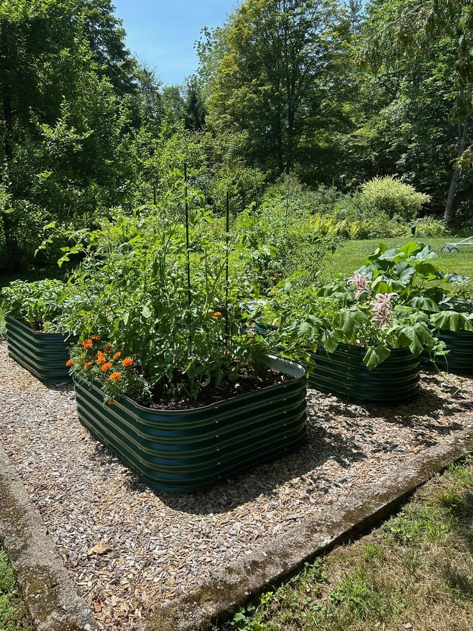 39 West Street Newfane, VT 05345 - Photo 43 of 45