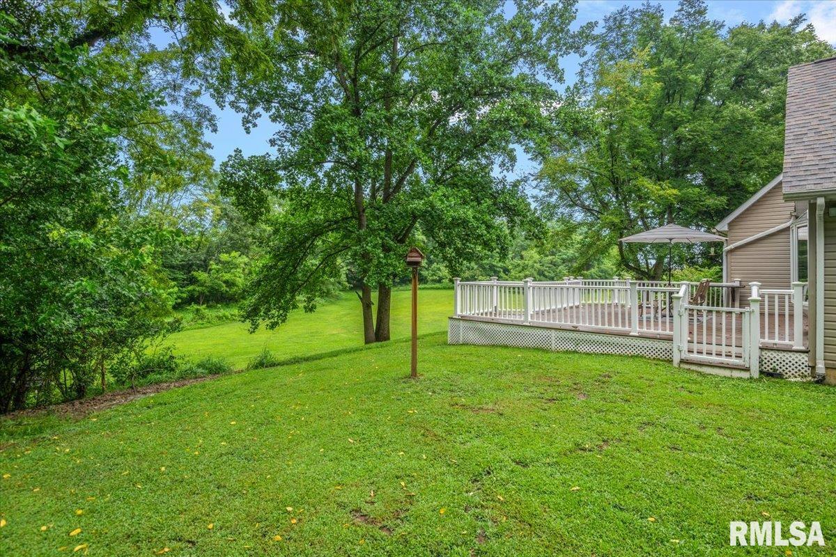 7507 Clayton Road Virginia, IL 62691 - Photo 50 of 61 Gallery Image 50