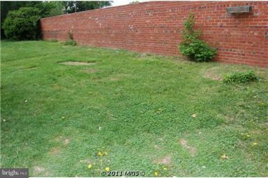 1121 Kalmia Road Northwest Washington, DC 20012 - Photo 20 of 27 Back Yard
