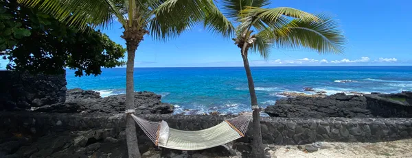 a view of a swimming pool with a garden