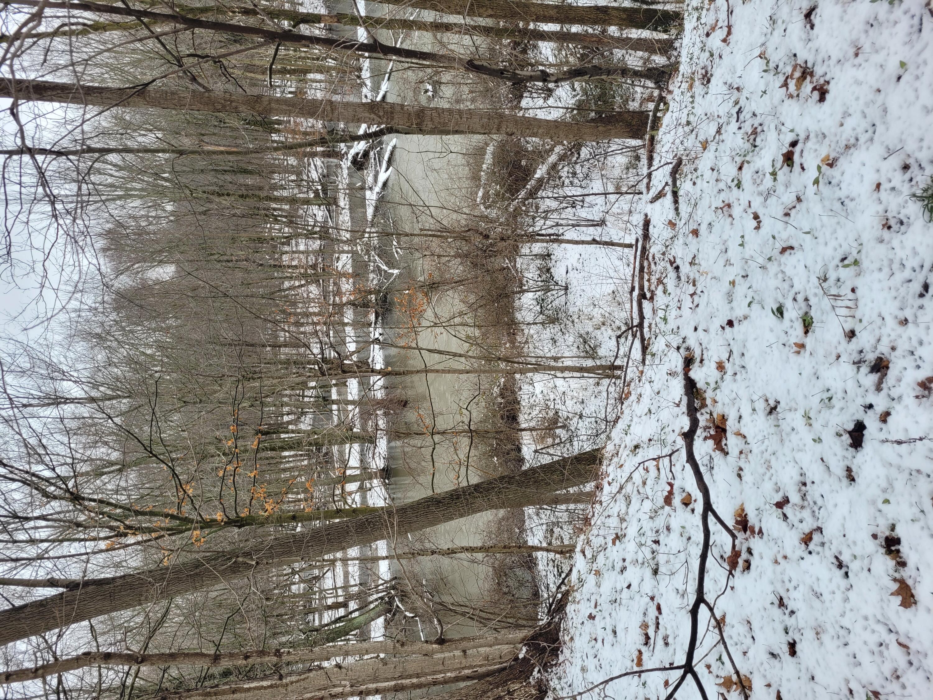 Hill Road Coloma, MI 49038 - Photo 2 of 10 1