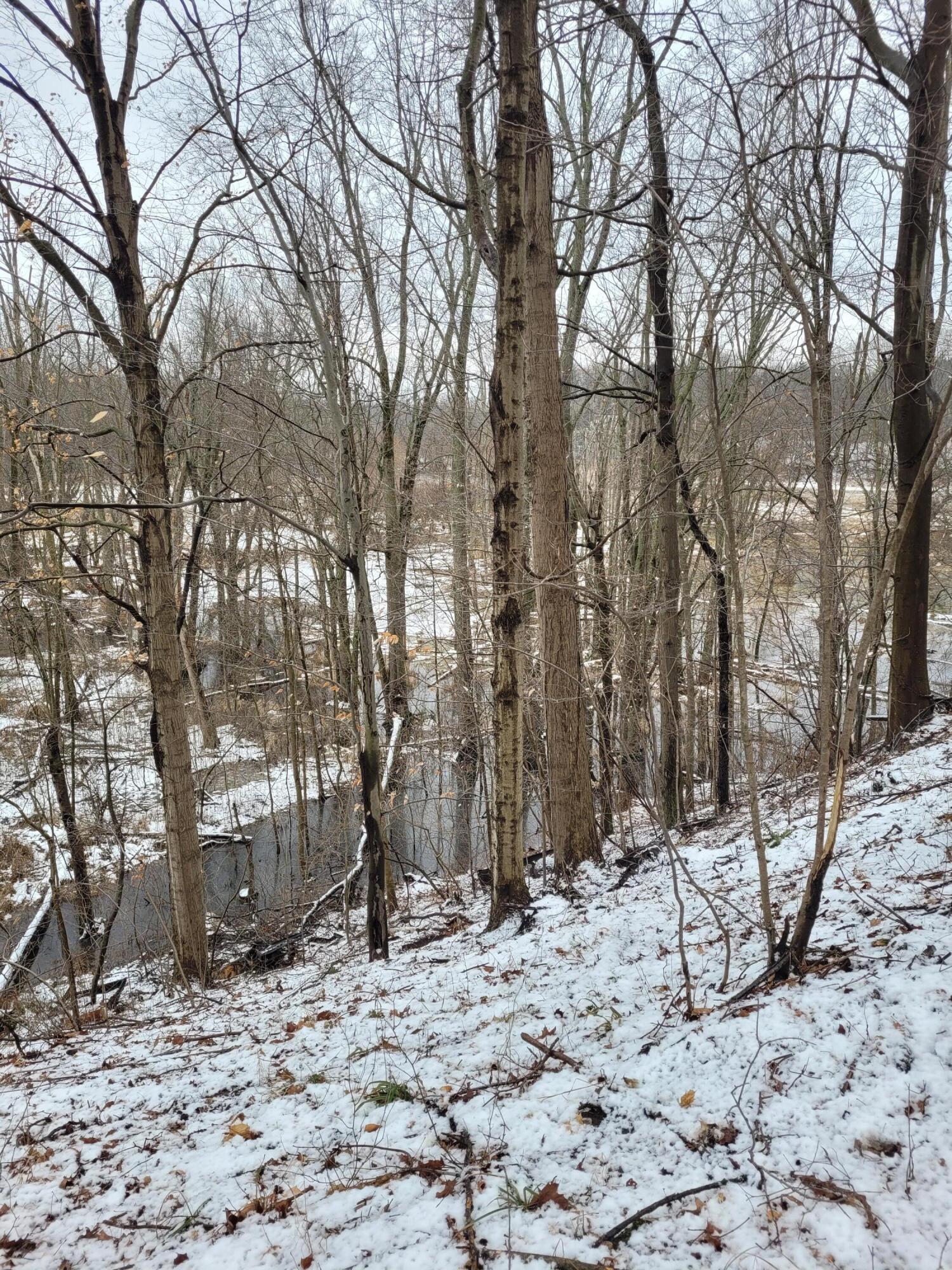 Hill Road Coloma, MI 49038 - Photo 3 of 10 20240111_124011