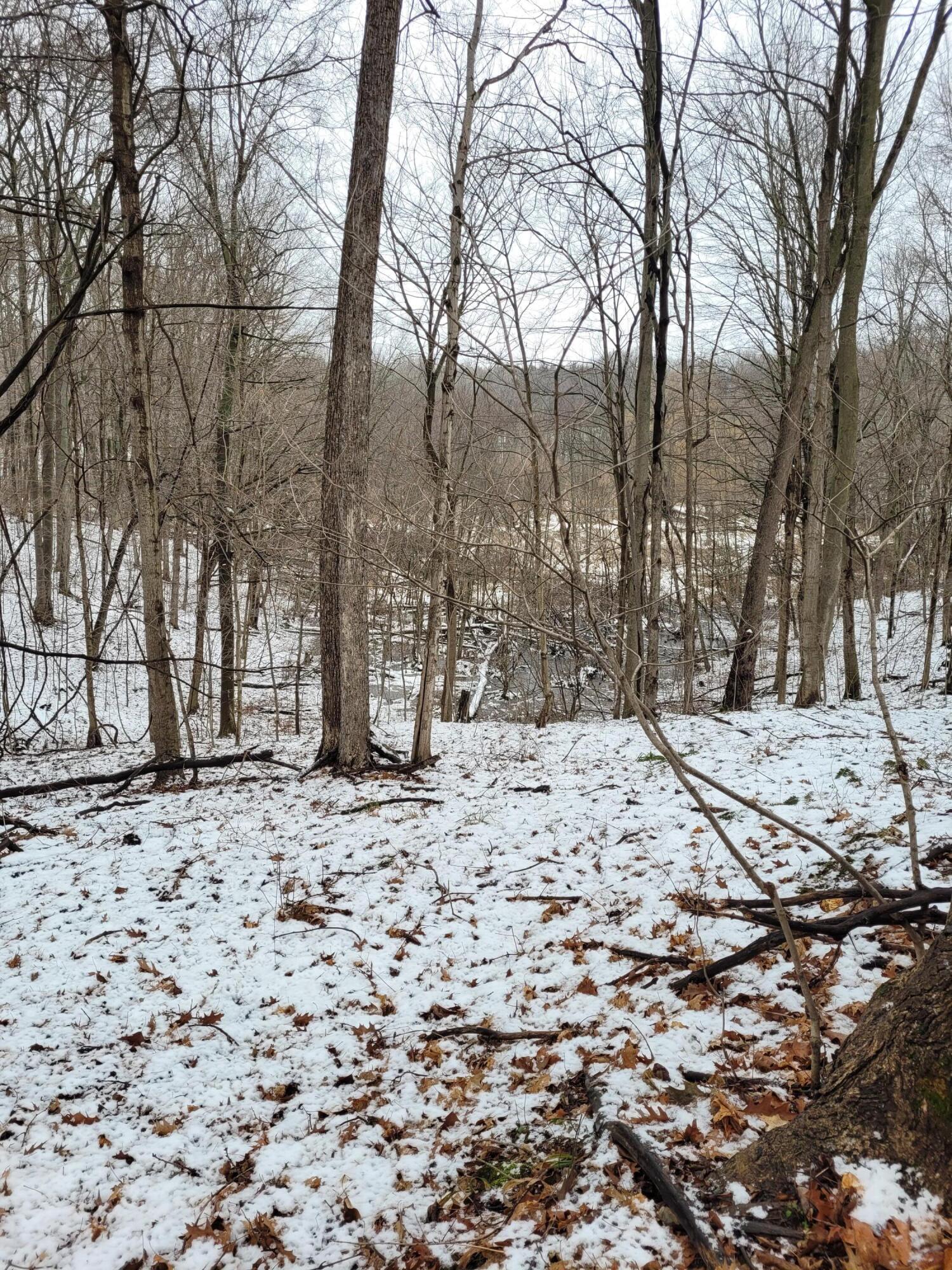 Hill Road Coloma, MI 49038 - Photo 6 of 10 20240111_124550