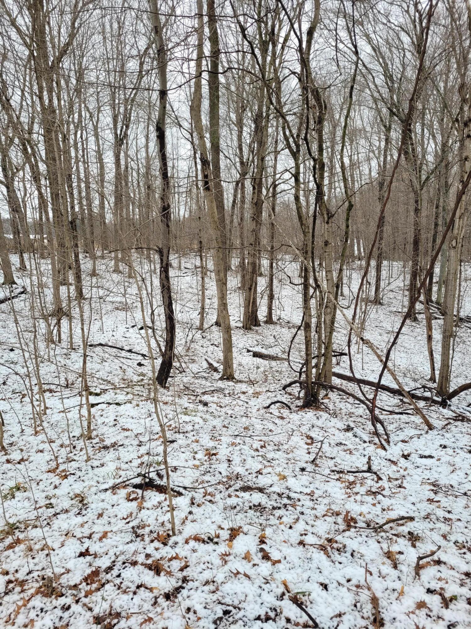 Hill Road Coloma, MI 49038 - Photo 7 of 10 20240111_124546