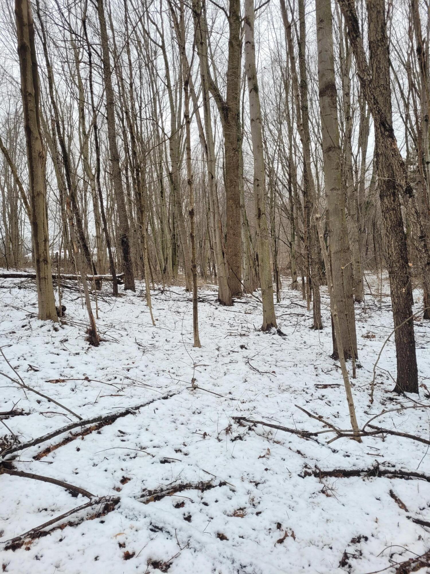 Hill Road Coloma, MI 49038 - Photo 8 of 10 20240111_124145