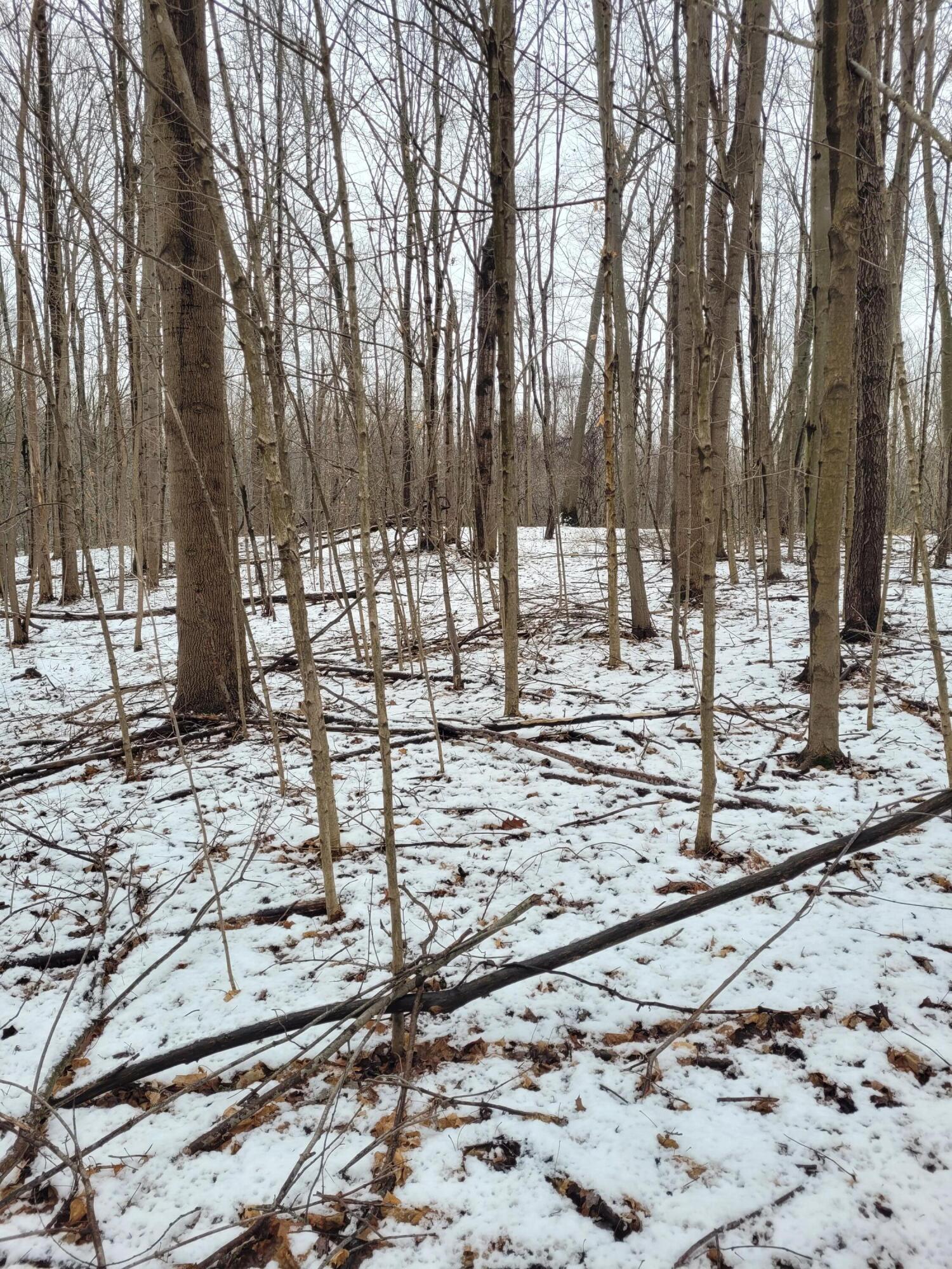 Hill Road Coloma, MI 49038 - Photo 9 of 10 20240111_124108
