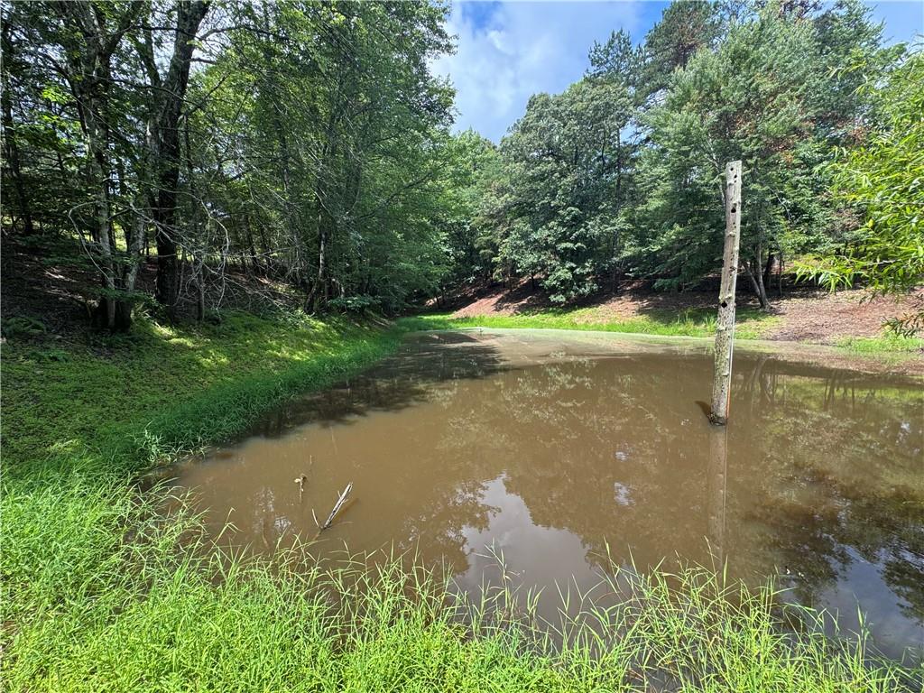 3.5-ac Ben Higgins Road Dahlonega, GA 30533 - Photo 20 of 21