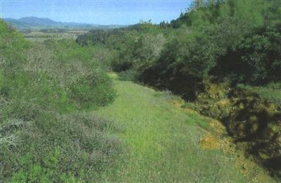 4190 Ridge( Chemise) Road Healdsburg, CA 95448 - Photo 3 of 9 Gallery Image 3