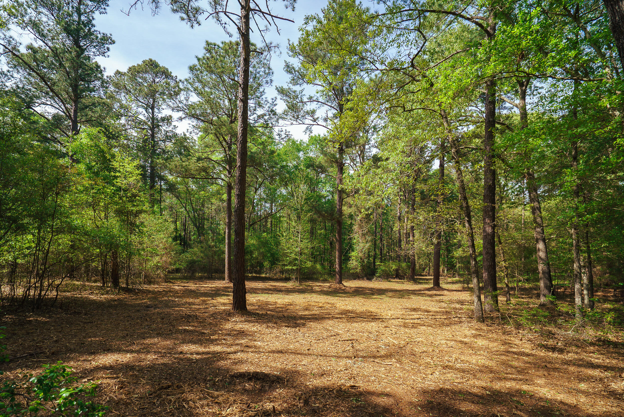 Lot 3 Banks Mill Road Southeast Aiken, SC 29803 - Photo 39 of 42