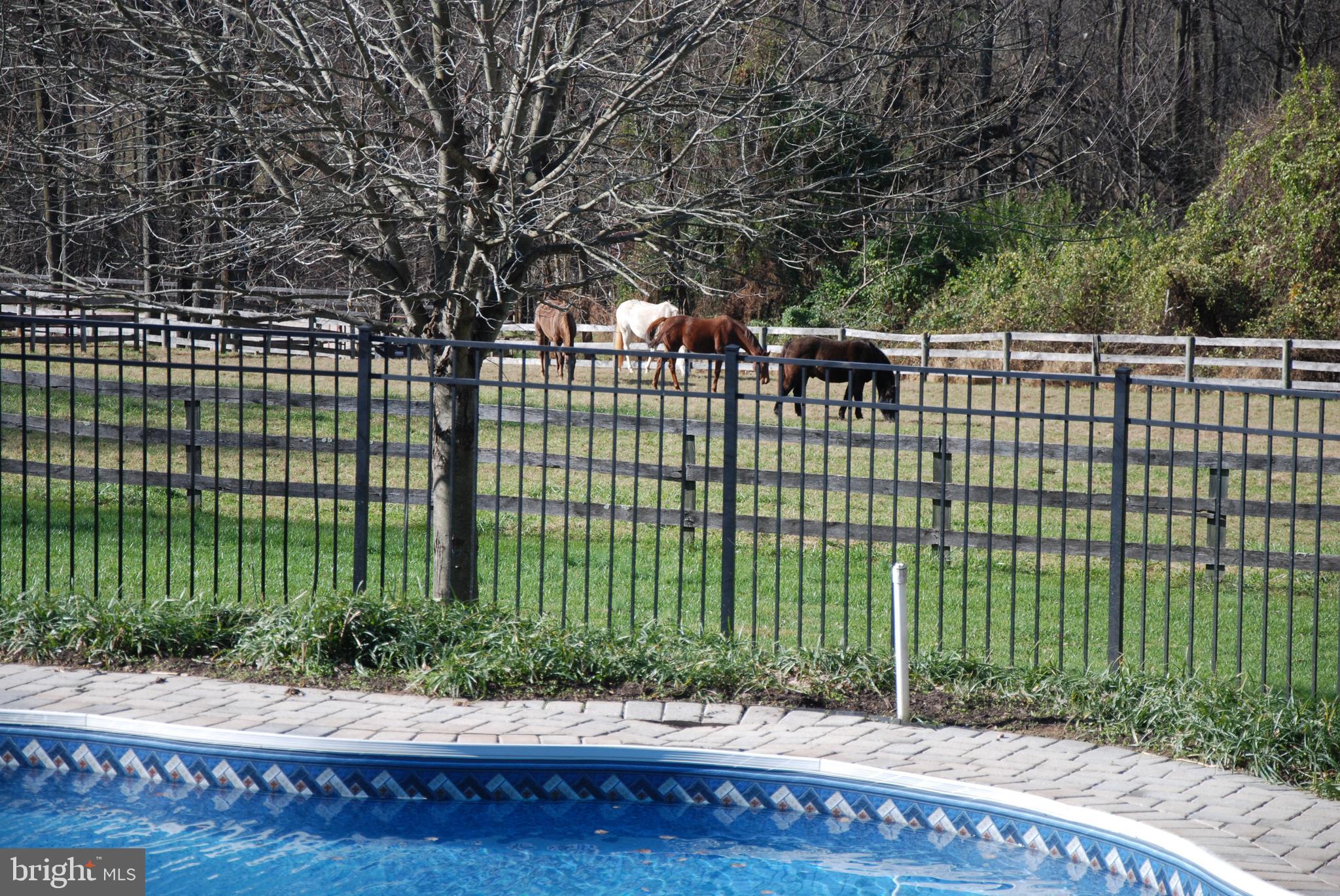 1480 Florence Road Mount Airy, MD 21771 - Photo 42 of 123