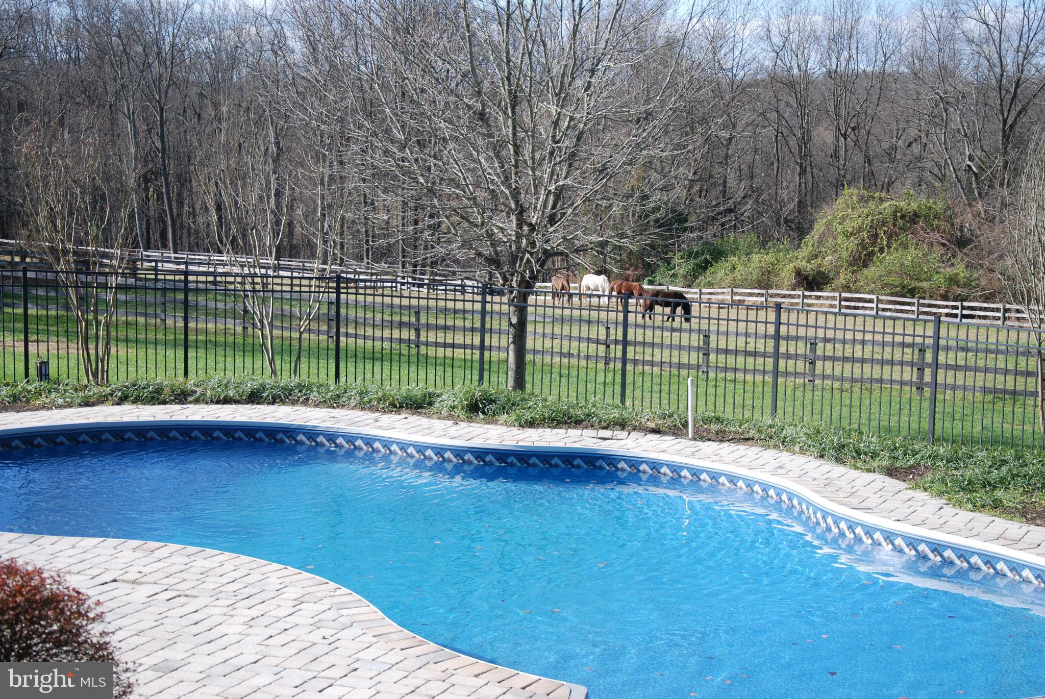 1480 Florence Road Mount Airy, MD 21771 - Photo 43 of 123