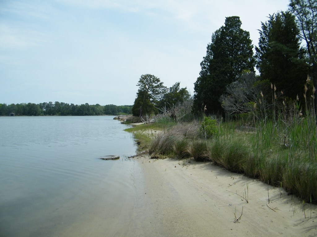 Lot1 Miles Wharf Road, Unit 1 Exmore, VA 23350 - Photo 17 of 33