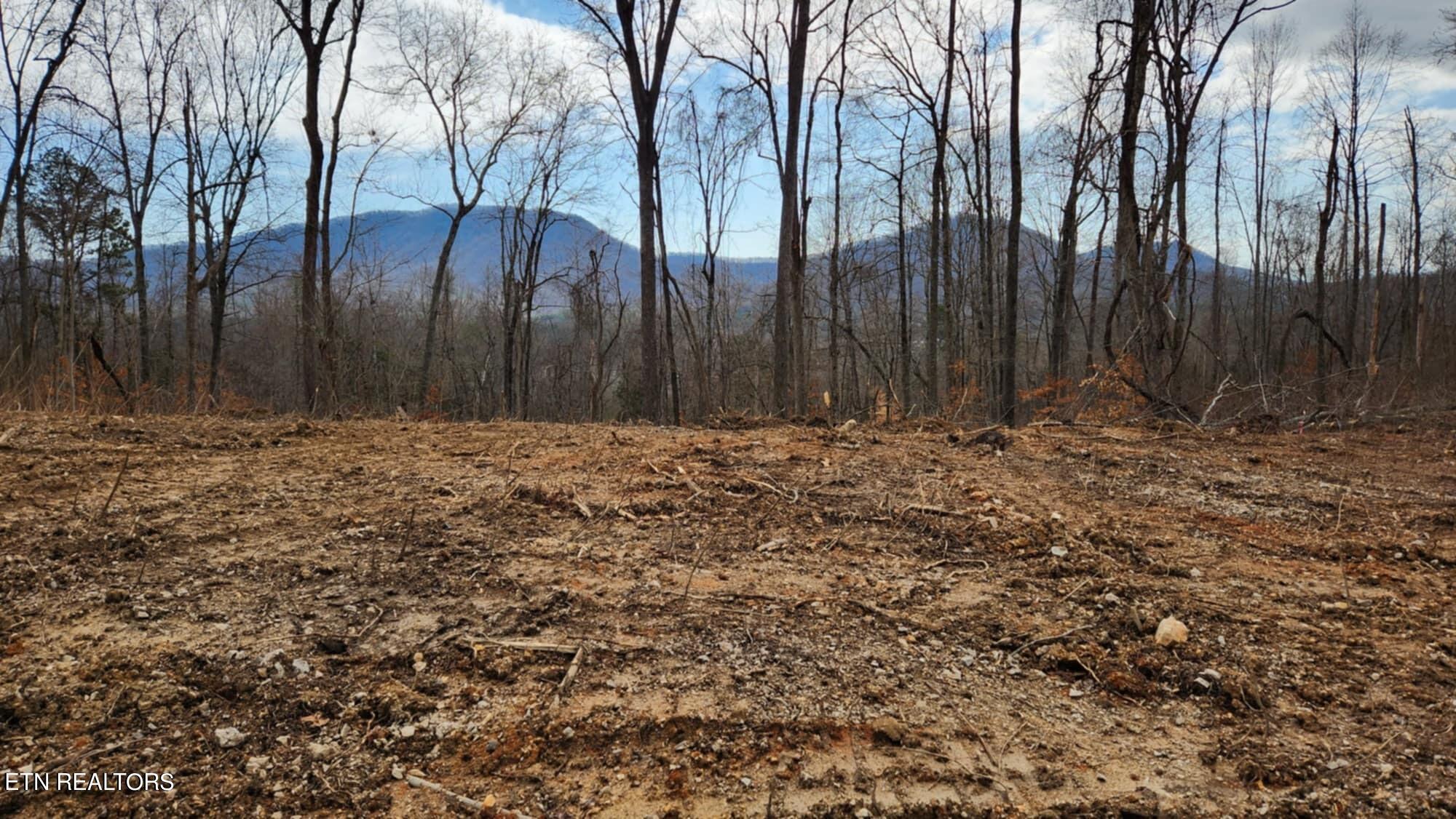 183 Bower Hollow Road Luttrell, TN 37779 - Photo 1 of 9 House Seat