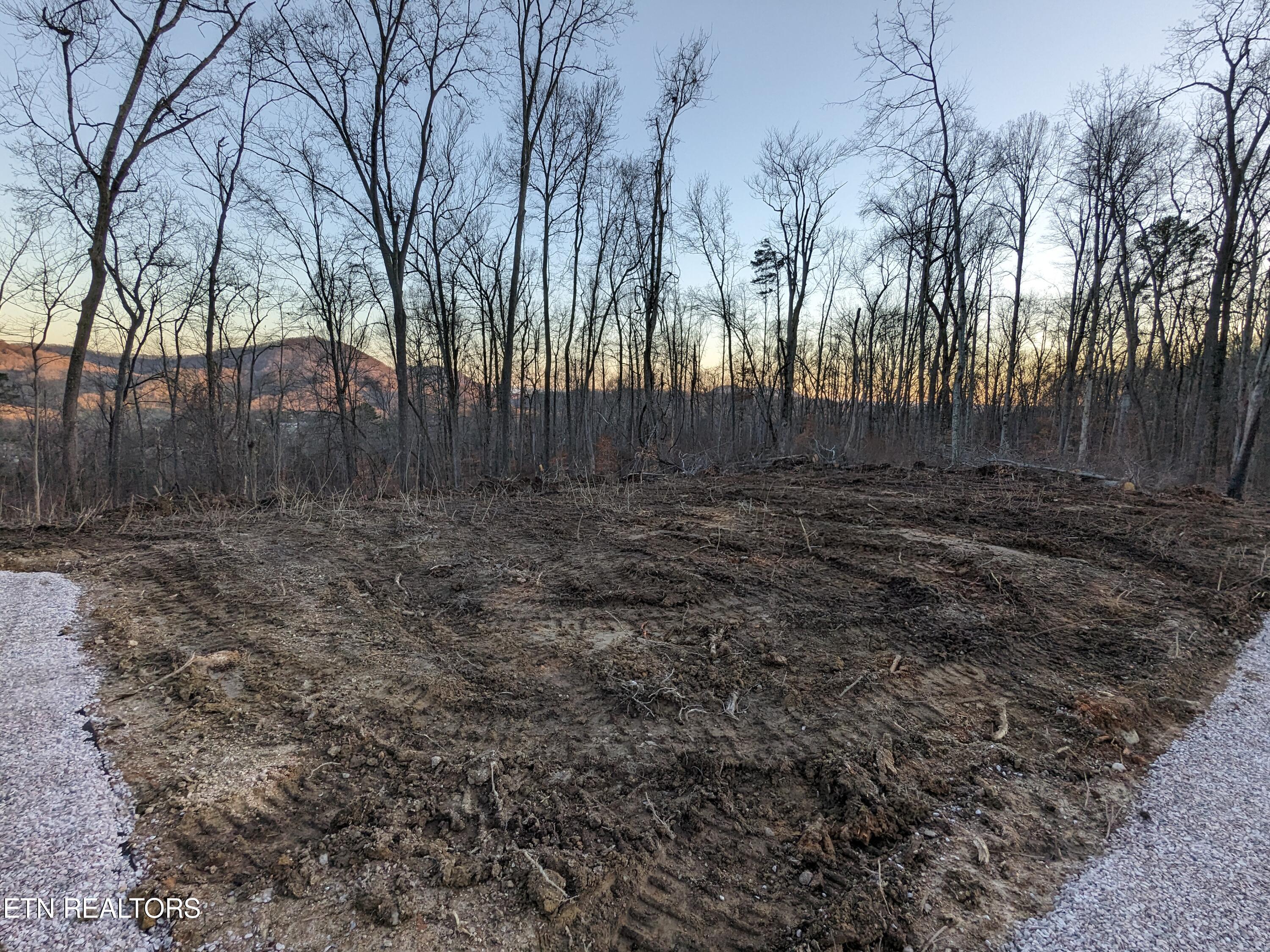 183 Bower Hollow Road Luttrell, TN 37779 - Photo 3 of 9 PXL_20240214_230348039