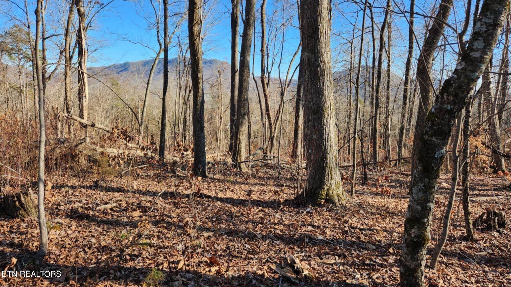 183 Bower Hollow Road Luttrell, TN 37779 - Photo 5 of 9 Messenger_creation_b543cdb4-4a31-45d3-a4