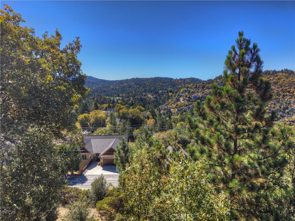 139 Grass Valley Road Lake Arrowhead, CA 92352 - Photo 12 of 18 a view of a city with a mountain