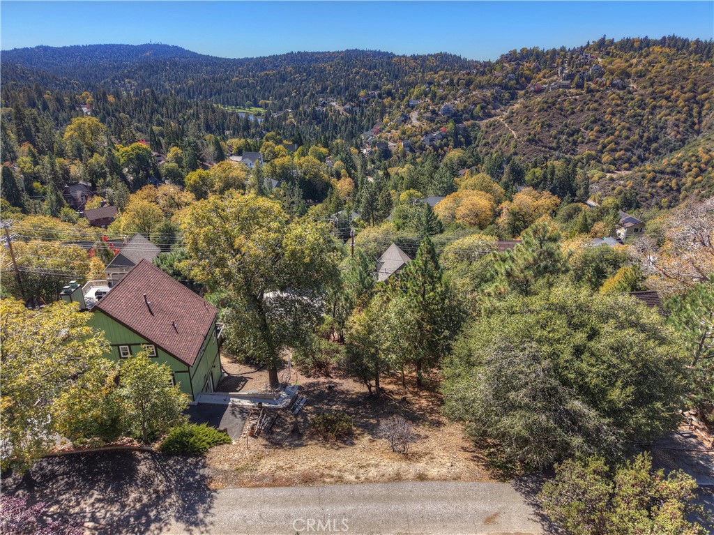 139 Grass Valley Road Lake Arrowhead, CA 92352 - Photo 7 of 18 a view of a city with a mountain