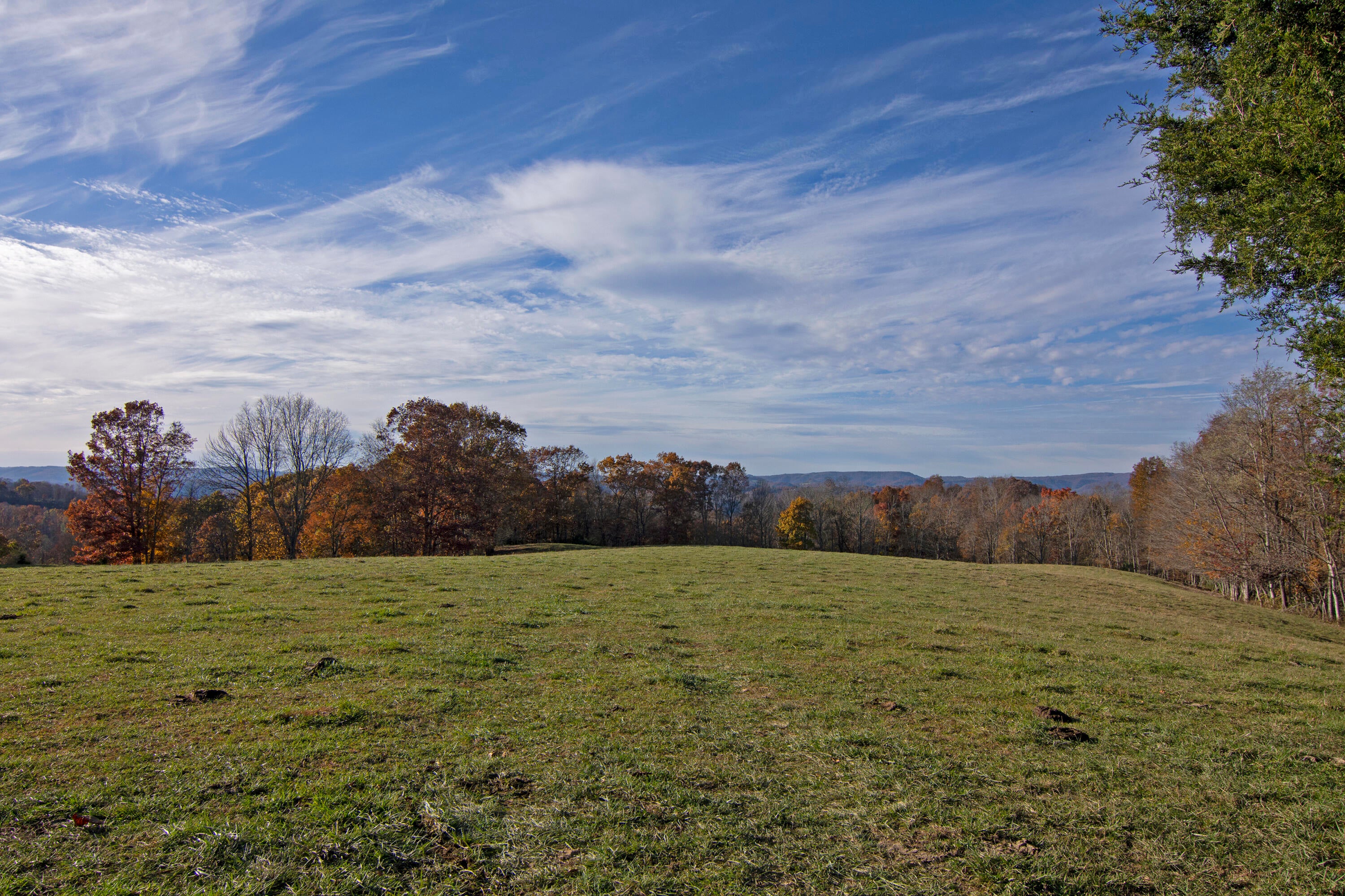 1528 Low Gap Church Road Hinton, WV 25951 - Photo 16 of 52 Gallery Image 16