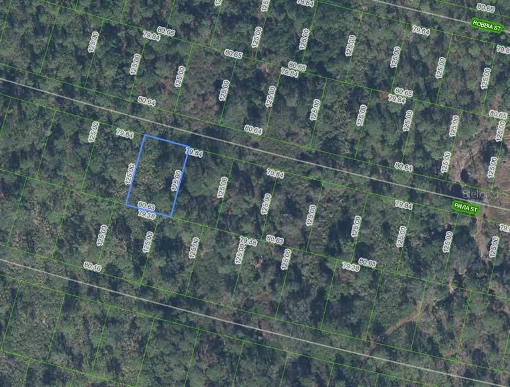 8705 Pavia Street Sebring, FL 33872 - Photo 1 of 2 a picture of a tree