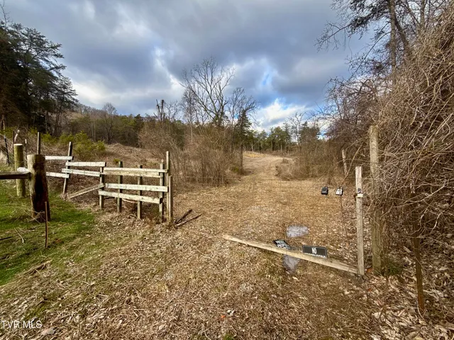 $129,900 | 25-ac Coy Bradley Lane, Bulls Gap, TN 37711