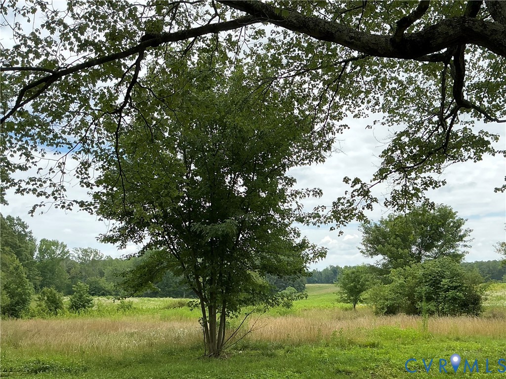 15618 Cross County Road Mineral, VA 23117 - Photo 6 of 31