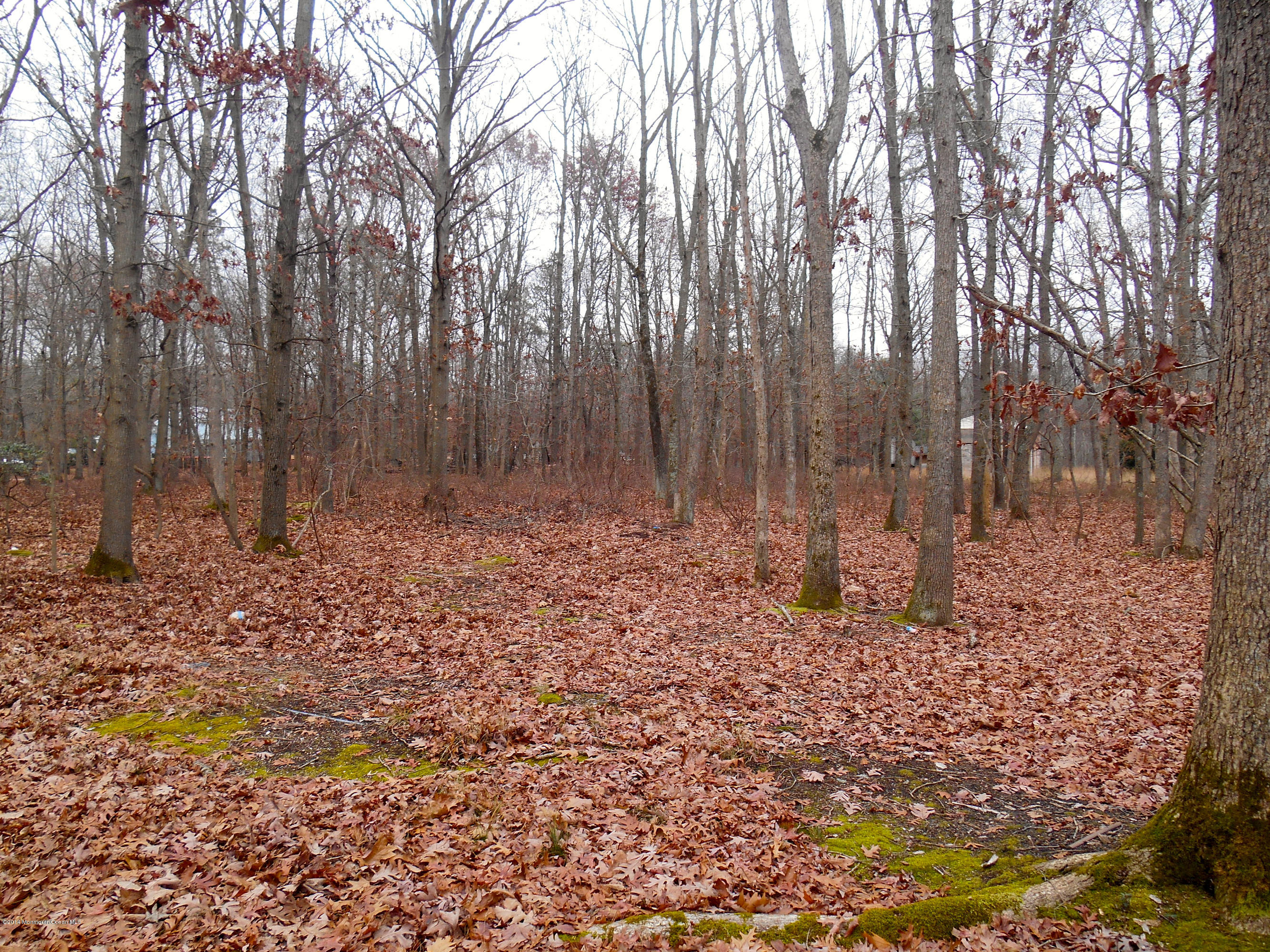 155 Pittenger Pond Road Freehold, NJ 07728 - Photo 12 of 13 ANOTHER VIEW OF THE PROPERTY