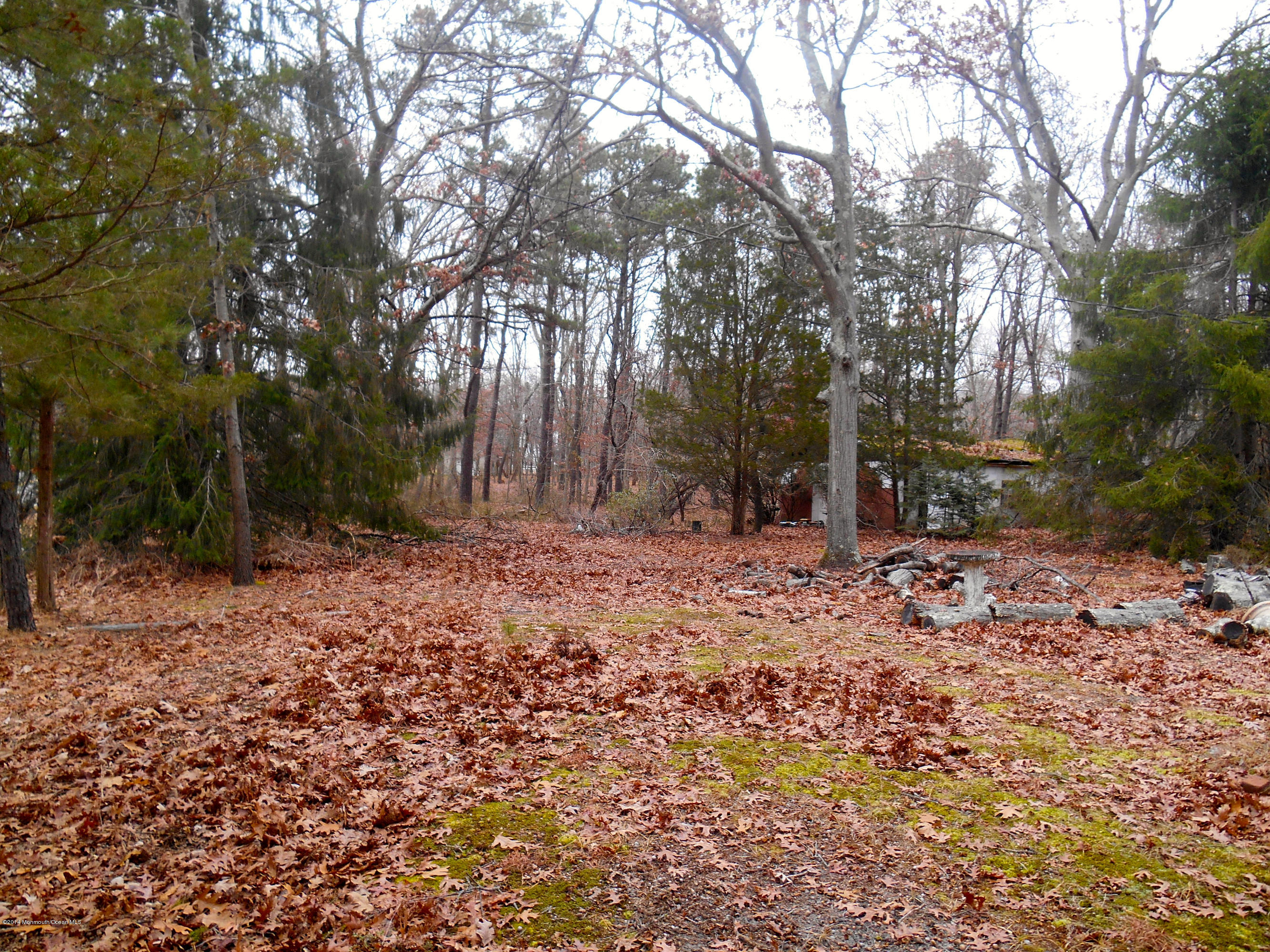 155 Pittenger Pond Road Freehold, NJ 07728 - Photo 13 of 13 PROPERTY
