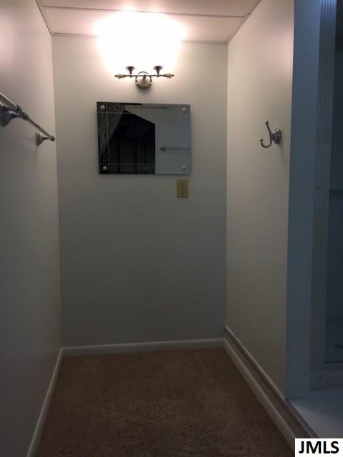 6012 Springfield Drive Jackson, MI 49201 - Photo 19 of 30 Photo 19