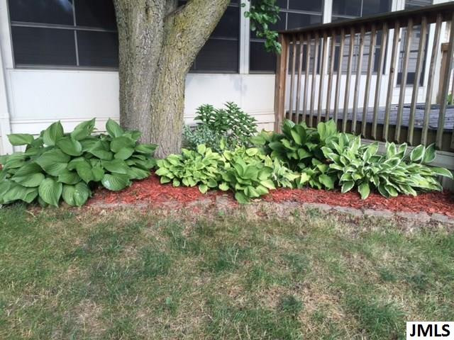 6012 Springfield Drive Jackson, MI 49201 - Photo 7 of 30 Photo 7