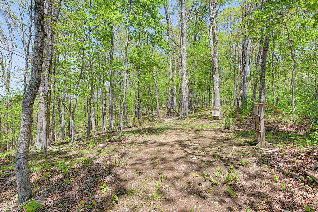 805 Sunset River Road Ceres, VA 24318 - Photo 49 of 77 Gallery Image 49