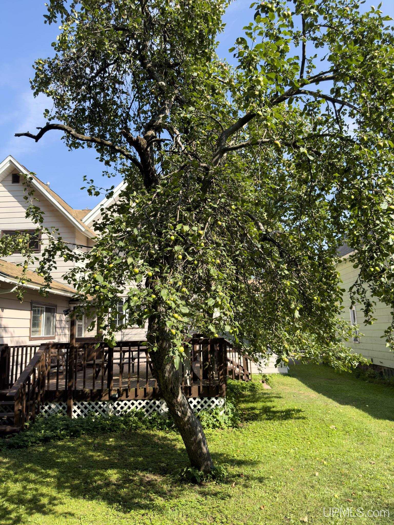 225 Kearsarge Street Laurium, MI 49913 - Photo 25 of 26