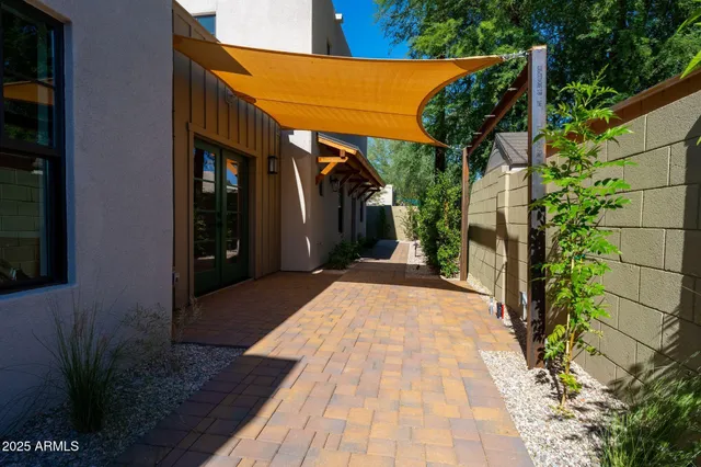 a view of backyard with potted plants