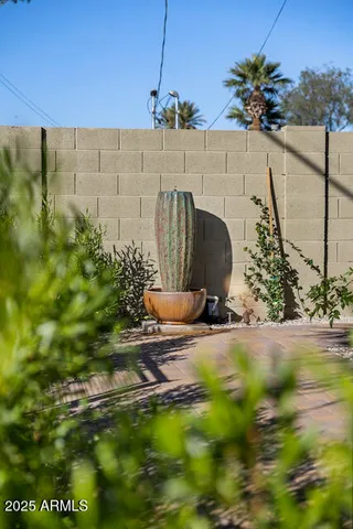 a view of a backyard