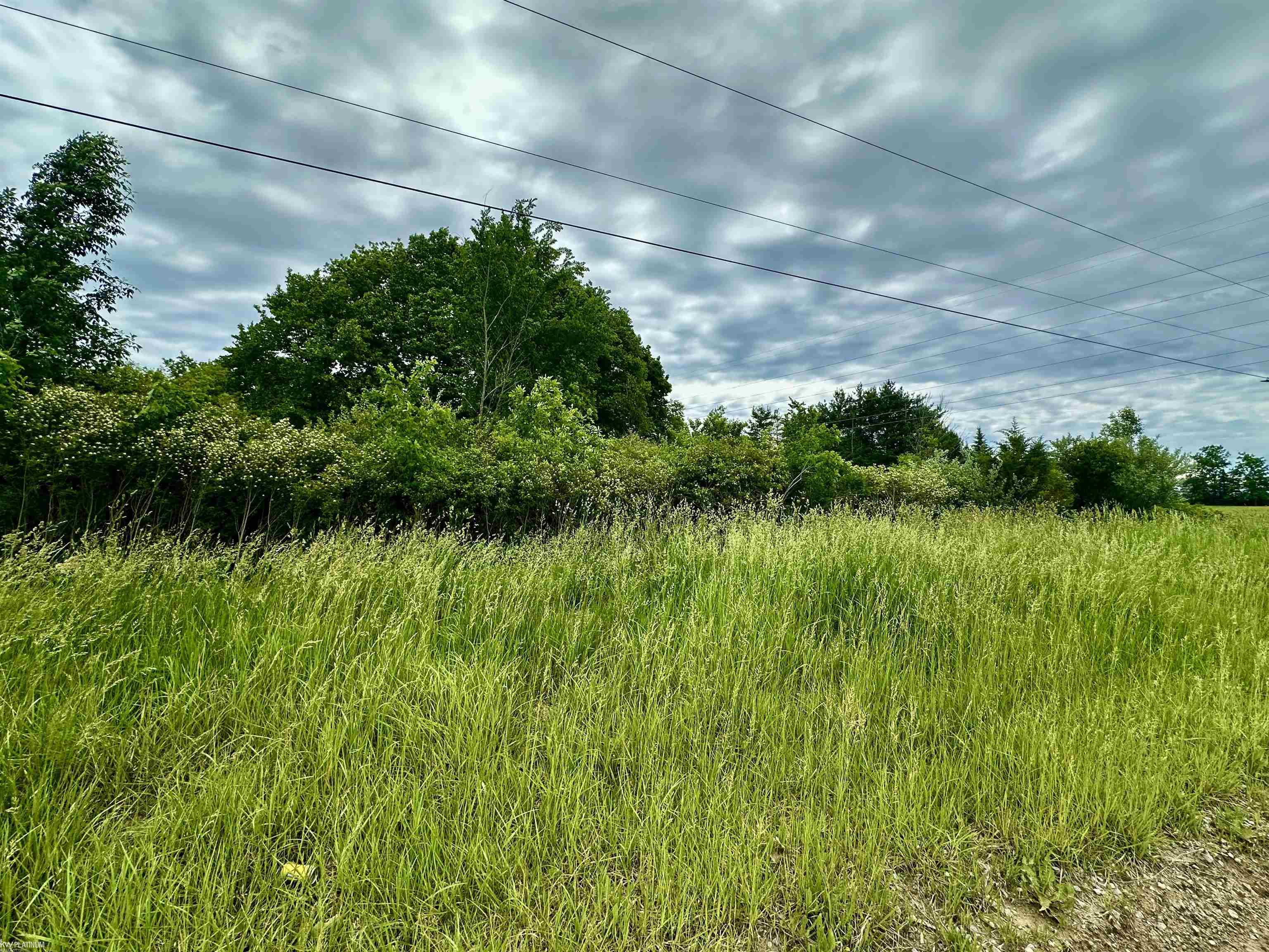 Vl Braidwood Parcel 5 Road Memphis, MI 48041 - Photo 2 of 9