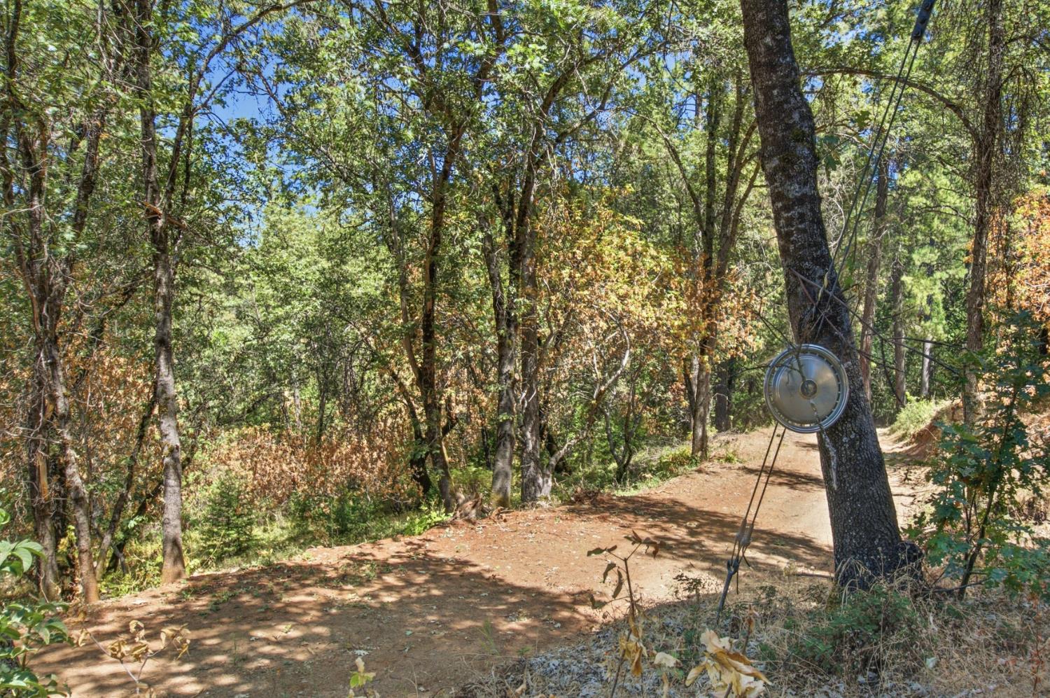0 Sly Park Road Placerville, CA 95667 - Photo 15 of 27 Gallery Image 15