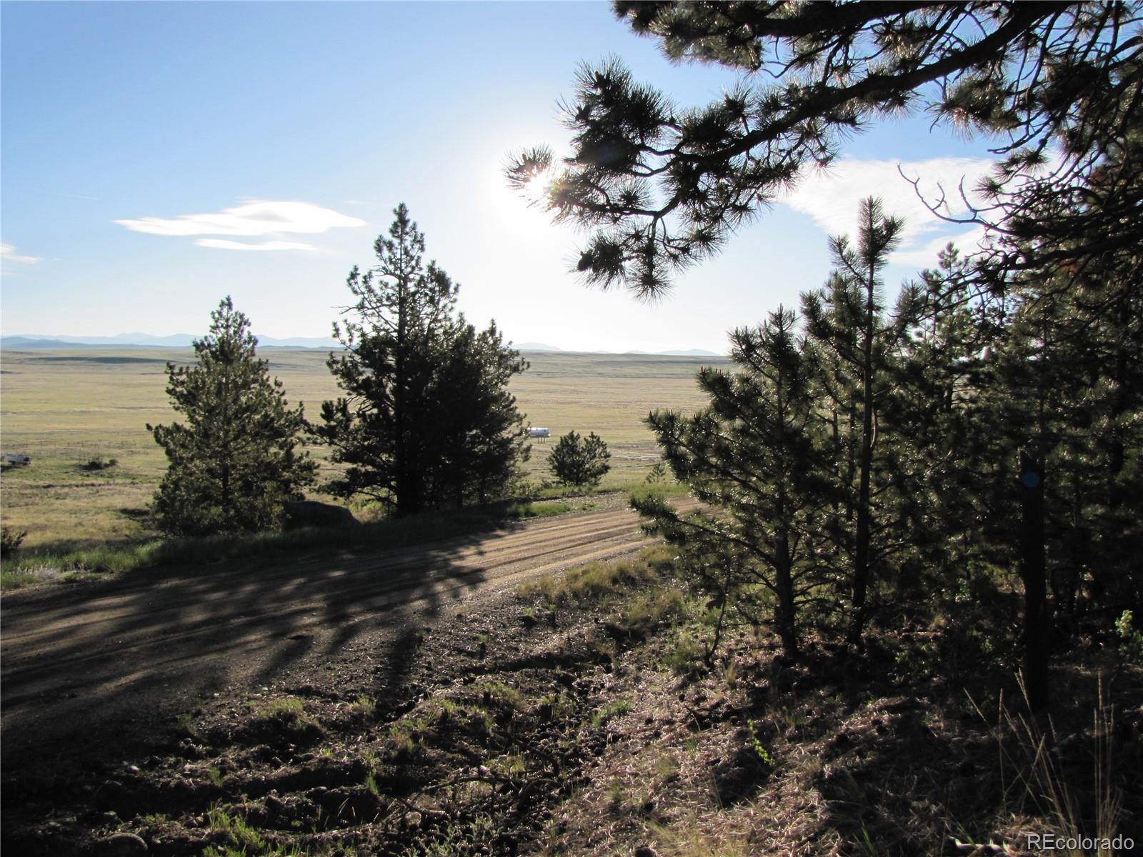 990 Corral Road Hartsel, CO 80449 - Photo 4 of 16 Gallery Image 4